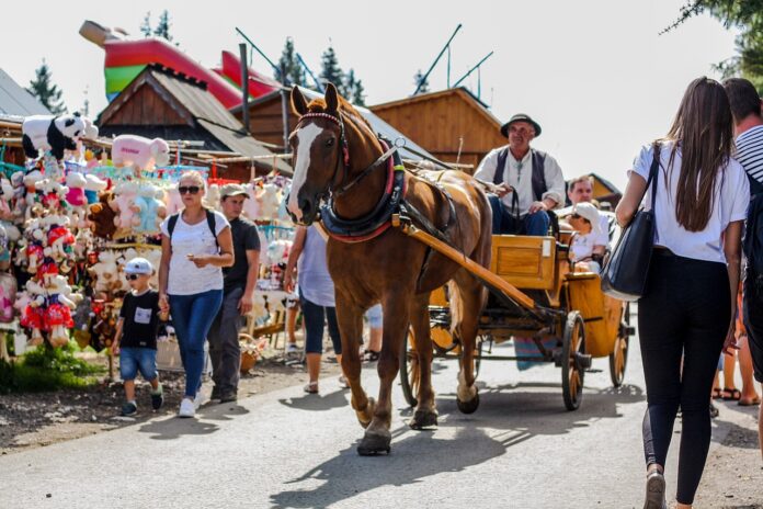 polacy-omijaja-zakopane.-glownym-powodem-takiego-trendu-jest-drozyzna