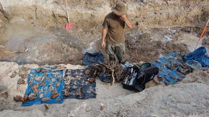 projekt-uchwaly-w-sprawie-ludobojstwa-na-wolyniu-trafil-do-sejmu