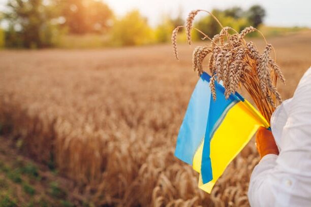 wegry:-piec-krajow-wezwalo-ke-do-przedluzenia-zakazu-importu-ukrainskiego-zboza