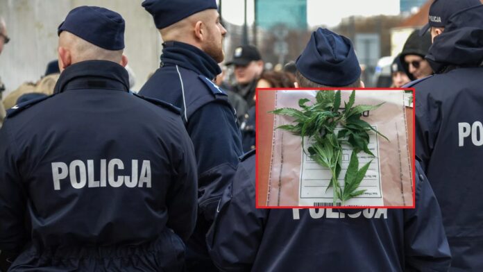 leczyca:-przyszedl-przeprosic-policje-z-bukietem-marihuany