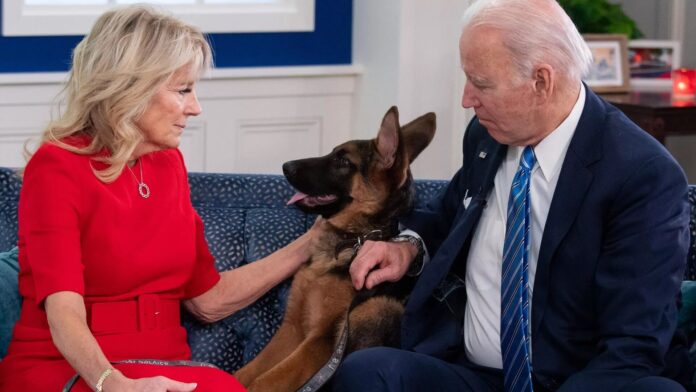 amerykanski-kongresman-comer:-rodzina-bidena-otrzymala-pieniadze-z-rosji