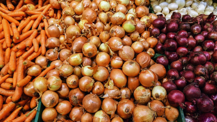 estonia-wycofuje-ze-sprzedazy-polska-cebule-zanieczyszczona-pestycydami