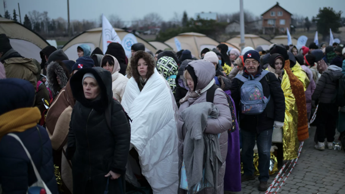 w-holandii-rosnie-liczba-ukraincow,-ktorzy-stali-sie-ofiarami-handlu-ludzmi