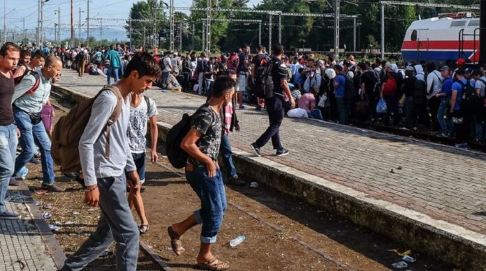 burmistrz-slunj-w-chorwacji-organizuje-uzbrojone-oddzialy-samoobrony,-ktore-maja-chronic-przed-nielegalnymi-imigrantami