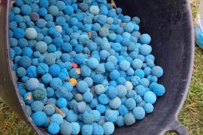 wielka-brytania:-morze-wyrzuca-na-brzeg-niebieskie-pileczki.-maja-zwiazek-z-elektrownia-atomowa