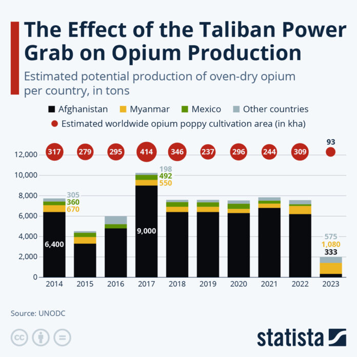 taliban-power-grab-over-opium-production-sparked-surge-in-fentanyl-use