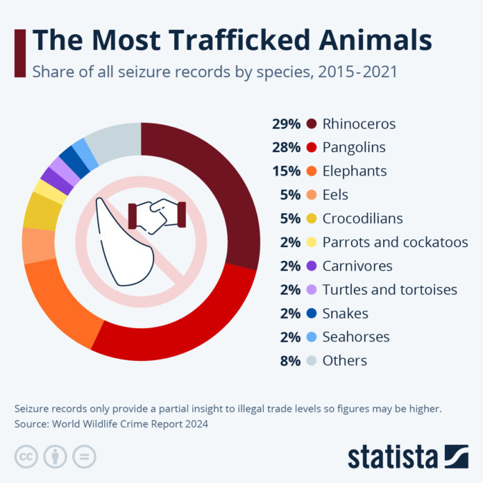 rhinos-(&-pangolins)-are-the-world’s-most-trafficked-animals