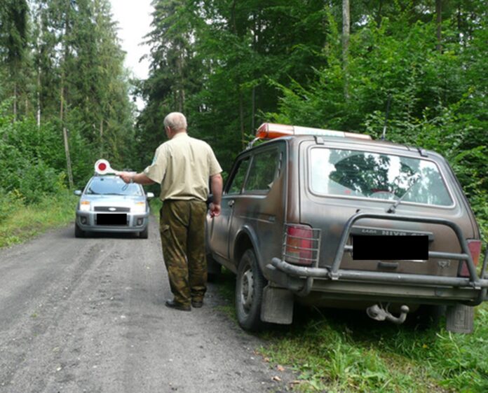 resort-klimatu-domaga-sie-drastycznych-kar-za-jazde-samochodem-po-lesie