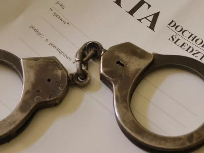 wzrost-przestepczosci-wsrod-obywateli-gruzji-w-polsce:-niepokojacy-trend