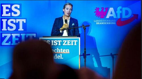 germany-needs-a-border-fence,-demands-afd-party-leader-alice-weidel germany-needs-a-border-fence,-demands-afd-party-leader-alice-weidel