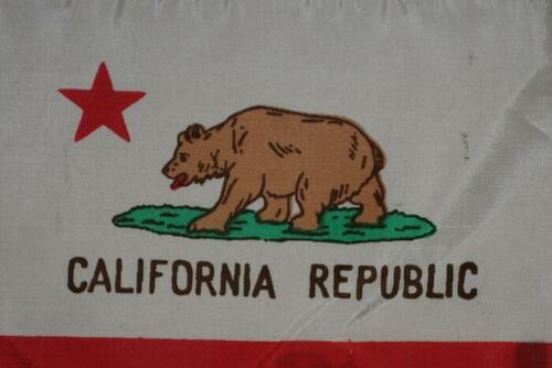in-california,-vote-counting-dampens-holiday-spirit in-california,-vote-counting-dampens-holiday-spirit