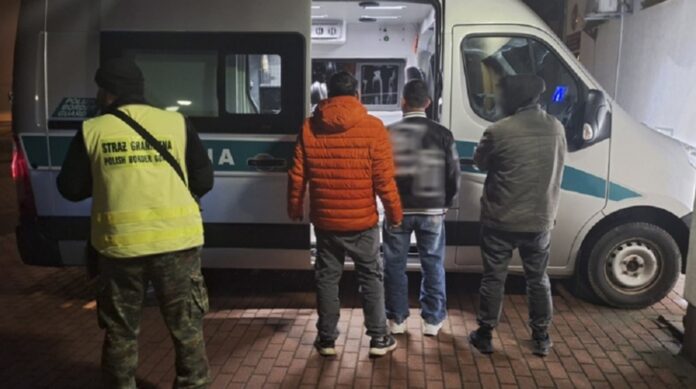 ukrainski-„kurier”-przewozacych-nielegalnych-imigrantow-zatrzymany