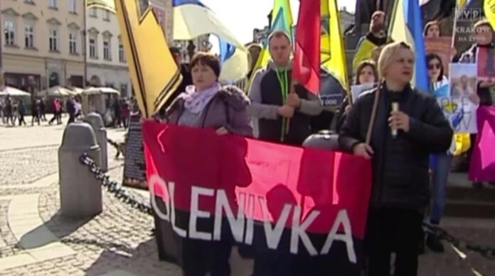 pis-nagle-chce-wprowadzenia-w-polsce-zakazu-propagowania-symboli-banderowskich pis-nagle-chce-wprowadzenia-w-polsce-zakazu-propagowania-symboli-banderowskich