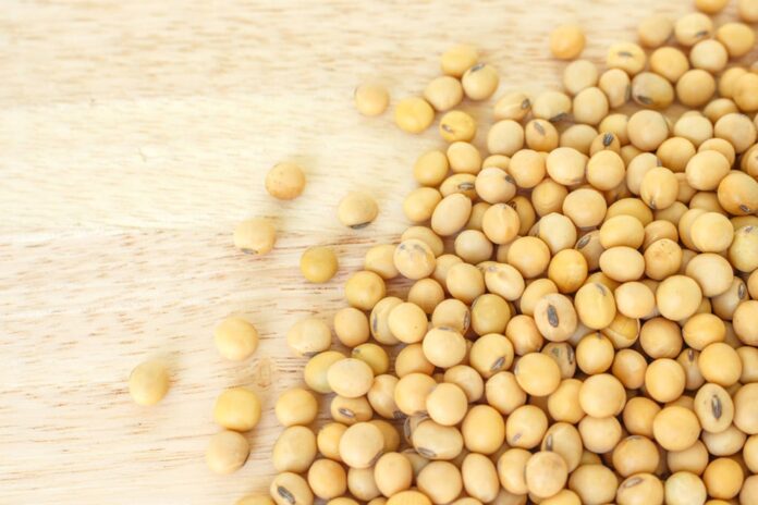 ponad-20-ton-soi-z-ukrainy-zatrzymane-przez-ijhars