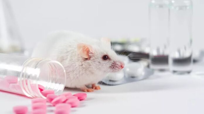 w-stanach-zjednoczonych-ujawniono-najbardziej-absurdalne-wydatki-wladz