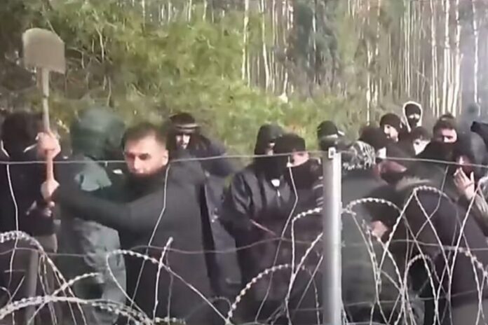 kontrola-strazy-granicznej-ujawnia,-ze-co-czwarty-imigrant-przebywa-w-polsce-nielegalnie