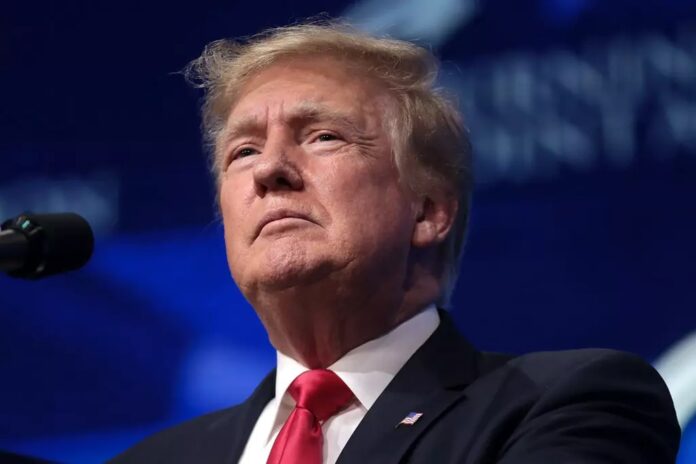 amerykanscy-producenci-samochodow-moga-ucierpiec-z-powodu-cel-trumpa amerykanscy-producenci-samochodow-moga-ucierpiec-z-powodu-cel-trumpa