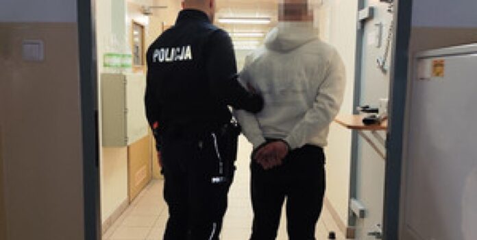 proba-kradziezy-w-mysiadle:-42-latni-ukrainiec-ujety-przez-ochrone-sklepu