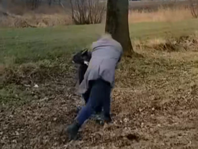 soltys-katow-rybackich-w-ogniu-krytyki-po-nagraniu-z-napadem-na-kierowce