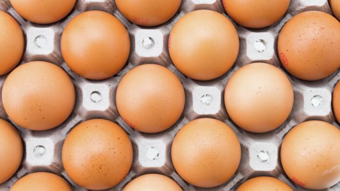 nielegalny-handel-jajami:-rolnicy-na-celowniku-–-surowe-kary-za-lamanie-przepisow