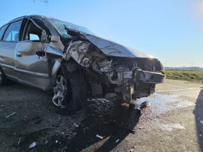 pijany-kierowca-z-ukrainy-zakonczyl-jazde-na-drzewie