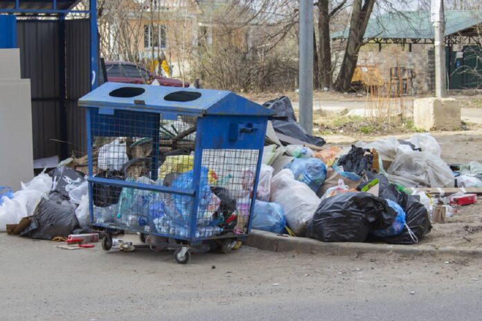 wyzsze-kary-za-zasmiecanie-lasu-–-nawet-5000-zl-fotopulapki-lapia-sprawcow-na-goracym-uczynku.