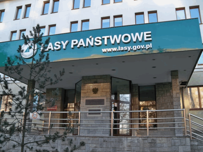 byly-dyrektor-lasow-panstwowych-uslyszal-zarzuty.-bodnar-triumfuje