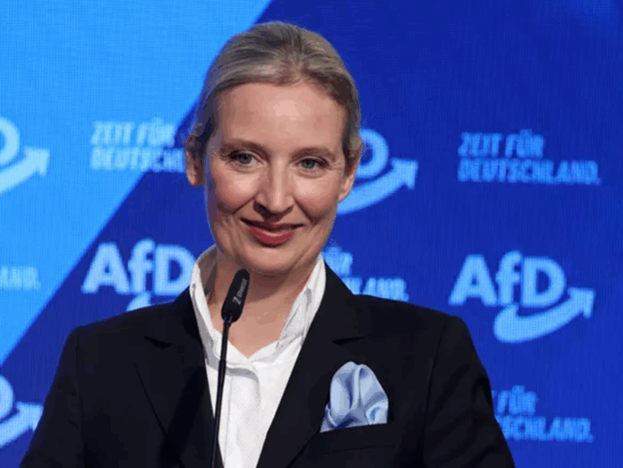 orban-obiecal-liderce-afd-wsparcie-dla-wegier orban-obiecal-liderce-afd-wsparcie-dla-wegier