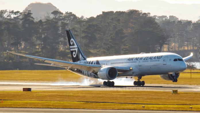 air-new-zealand-cancels-popular-summer-flight-route air-new-zealand-cancels-popular-summer-flight-route