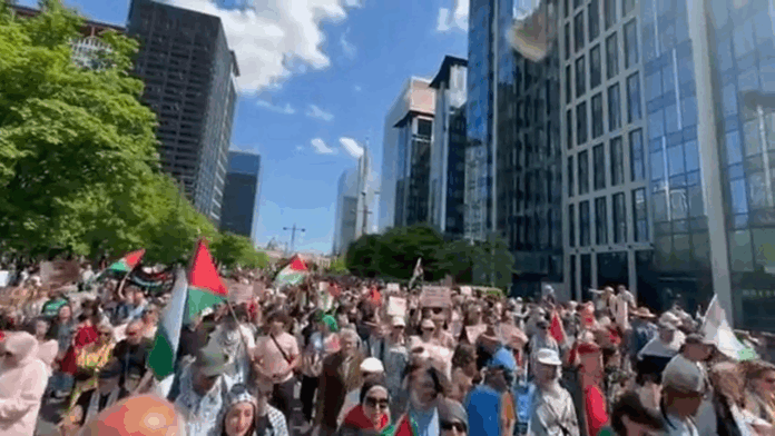 w-brukseli-odbyl-sie-duzy-protest-przeciwko-dostawom-broni-do-izraela w-brukseli-odbyl-sie-duzy-protest-przeciwko-dostawom-broni-do-izraela