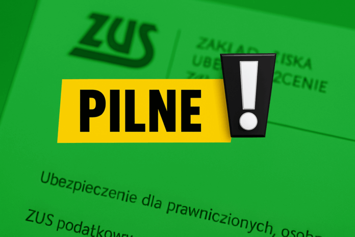 renta-wdowia:-miliony-polakow-nie-wie-o-tej-zmianie!-czy-to-koniec-finansowych-dylematow