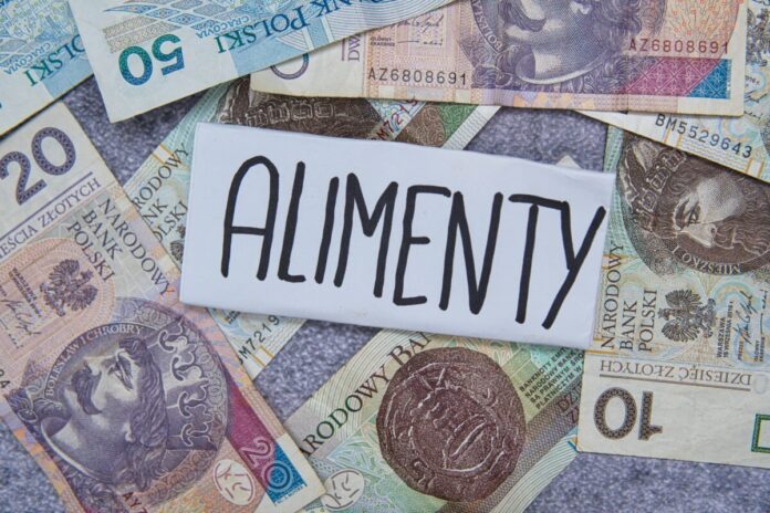 rzad-konczy-z-alimentami-za-wine.-wielka-rewolucja-w-rozwodach-juz-w-2025-roku!