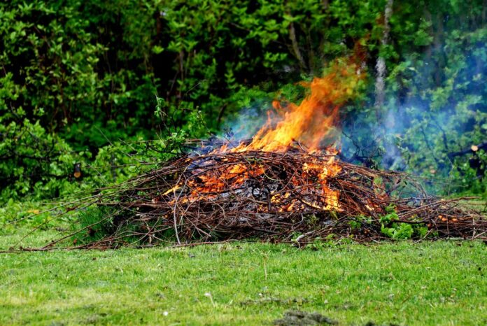 masz-ogrod-lub-dzialke?-koniec-z-paleniem-lisci.-kara-to-nawet-30-000-zl!