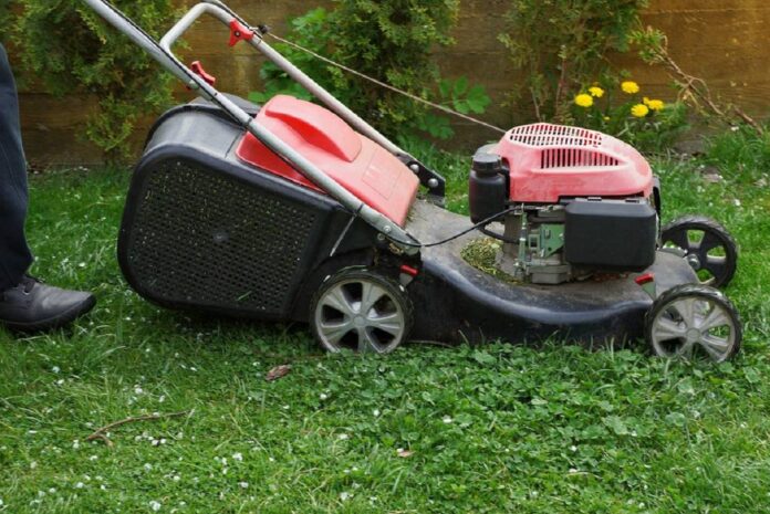 koszenie-trawy-w-majowke?-mozesz-zaplacic-5000-zl.-sprawdz,-kiedy-unikniesz-mandatu