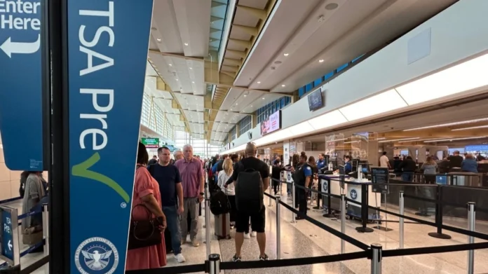 tsa-warns-travelers-after-live-turtles-found-hidden-on-passengers tsa-warns-travelers-after-live-turtles-found-hidden-on-passengers