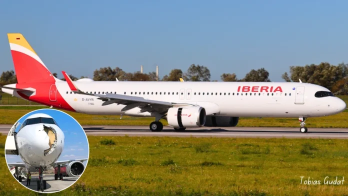 iberia-new-a321xlr-suffers-damage-after-bird-strike,-makes-u-turn-to-madrid iberia-new-a321xlr-suffers-damage-after-bird-strike,-makes-u-turn-to-madrid