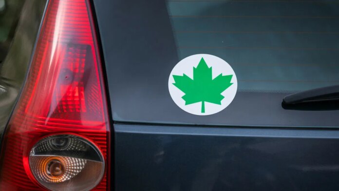 prawo-jazdy-od-17-lat,-zielony-listek-i-oc-za-4-500-zlotych.-szykujcie-sie