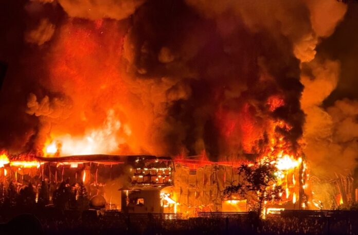 portugalia-plonie-podpalacze-sieja-spustoszenie-–-25%-pozarow-to-celowe-ataki.