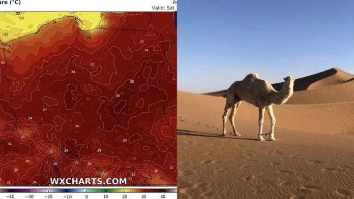 antycyklon-w-polsce.-szykujcie-sie-na-susze-i-upaly