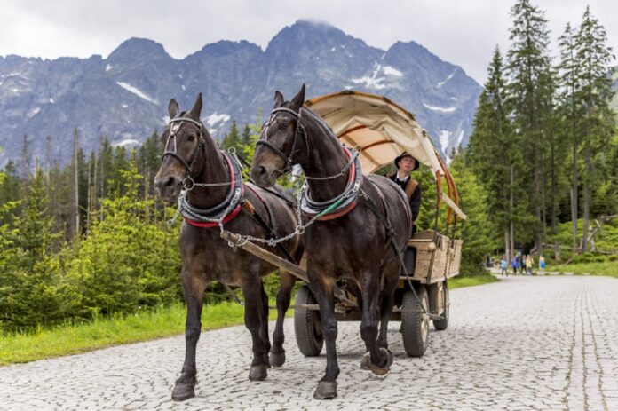 pijany-turysta-boso-w-tatrach-zamiast-morskiego-oka,-przekroczyl-granice-na-slowacje.