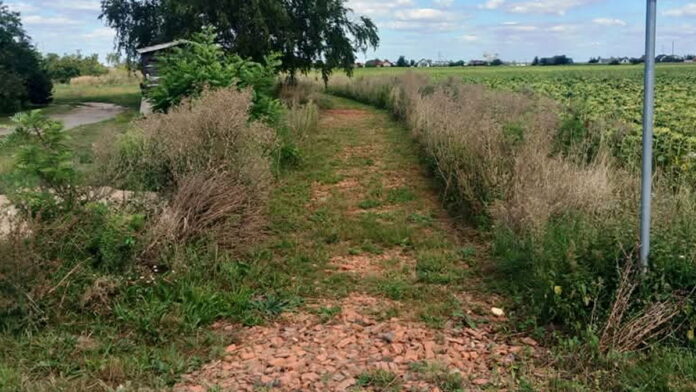 droga-rowerowa-gruntowa.-zrobiona-jako-tako-i-fajrant