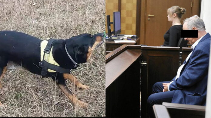 weterynarz-przeszczepil-nerke-psa-ze-schroniska-rasowemu.-sad-go-uniewinnil